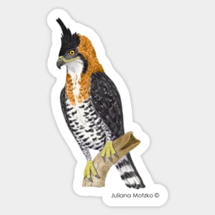 Ornate Hawk Eagle Bird Sticker